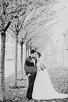 Newly married couple running and jumping in park while holding hands