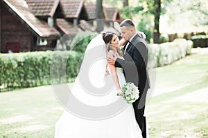 Newly married couple running and jumping in park while holding hands