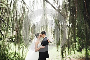 Newly married couple running and jumping in park while holding hands