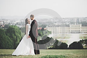 Newly married couple running and jumping in park while holding hands