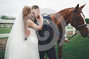 Newly married wedding couple stand with beautiful horse on nature