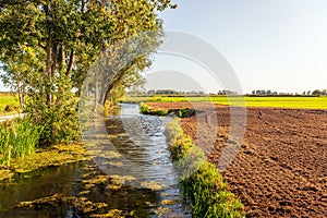 Newly plowed field in a Dutch polder