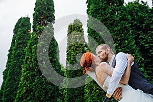Newly wed couple kissing in the midst of a tall juniper forrest at park