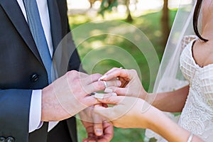 Newly wed couple`s hands with wedding rings