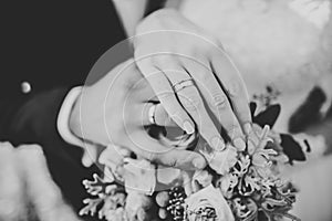Newly wed couple& x27;s hands with wedding rings