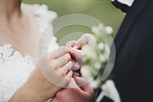 Newly wed couple& x27;s hands with wedding rings