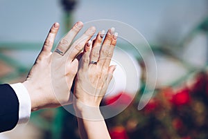 Newly wed couple`s hands with wedding rings