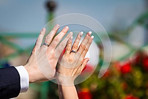 Newly wed couple`s hands with wedding rings