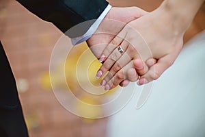 Newly wed couple's hands with wedding rings