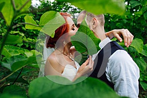 Newly wed couple snogging behind the bush in the park