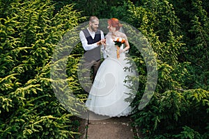 Newly wed couple walking through space between junipers in a park