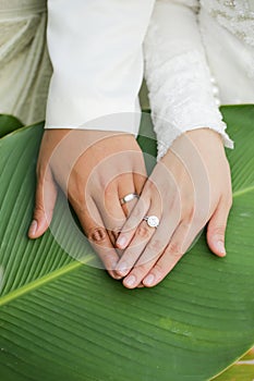 Newly weds putting their hands together on a green leaf.