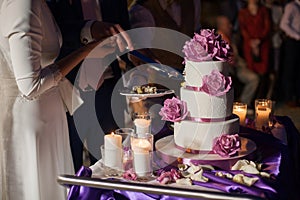 Newlywed couple carving delicious white wedding cake