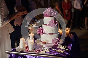 Newlywed couple carving delicious white wedding cake