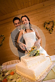 Newlywed couple cutting cake