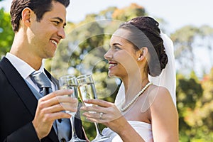 Newlywed toasting champagne flutes at park