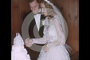 Newlyweds cutting wedding cake