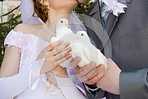 The newlyweds and dove. photo