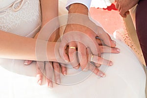 Newlyweds hands with their rings.