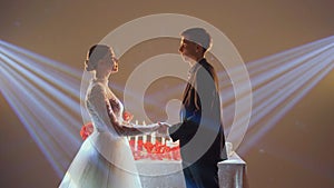 The newlyweds hold hands and look at each other, wedding. The eyes of a couple in love are opposite. Bride and groom at