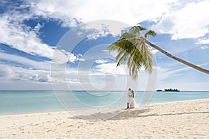 Newlyweds kiss under a palm tree on a gorgeous beach with white sand and turquoise water