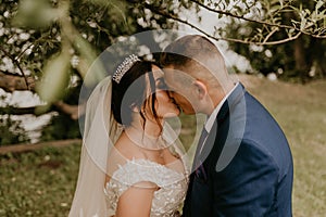 Newlyweds kiss under a tree in summer