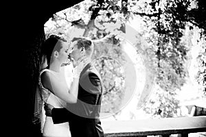 Newlyweds kissing under the tree