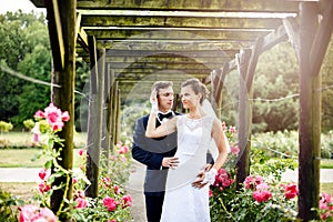 Newlyweds in park rosarium next to beautiful pink roses