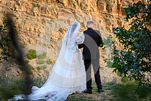 Newlyweds stand on the edge of a hill and look down, rear view