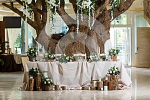 Newlyweds table setting decorated in rustic style. Nature theme in decoration