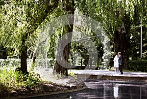 Newlyweds walk in the park