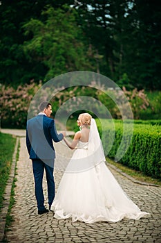 The newlyweds are walking in the park on the wedding day. The bride and groom Enjoying at the wedding day. Sunny weather.