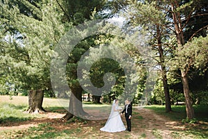 Newlyweds are walking in the park on the wedding day. Just married couple. Groom and bride on green background