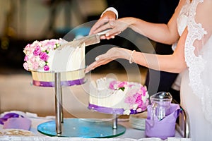 Newlyweds wedding cake cutting detail