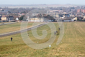 Newmarket Gallops Racehorse Training