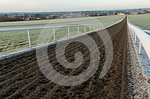 Newmarket racehorse gallops in England.