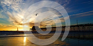 Newport Beach California Pier at Sunset photo