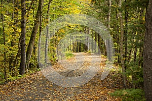 Newport Claremont Rail Trail in Newport, New Hampshire in autumn