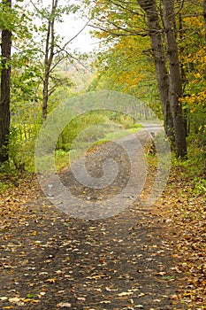 Newport Claremont Rail Trail in Newport, New Hampshire in autumn