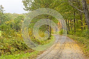 Newport Claremont Rail Trail in Newport, New Hampshire in autumn