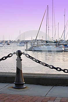 Newport Marina photo