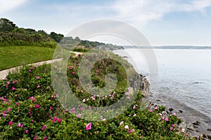 Newport Rhode Island Shoreline