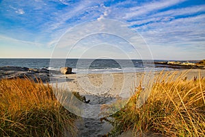 Newport RI beach coastline