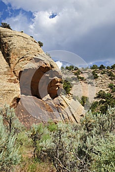 Newspaper Rock