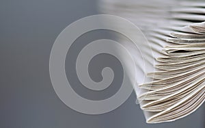 newspaper rolled up and sitting on a table no people stock photo