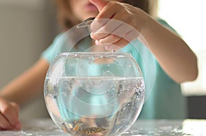 Newt under water swim in round aqua. Little girl observe triton.