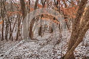 Newton Hills is a State Park in the American state of South Dakota near Sioux Falls