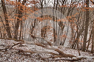 Newton Hills is a State Park in the American state of South Dakota near Sioux Falls