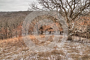 Newton Hills is a State Park in the American state of South Dakota near Sioux Falls