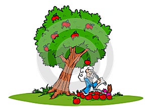 Newton idea law of gravity apple tree